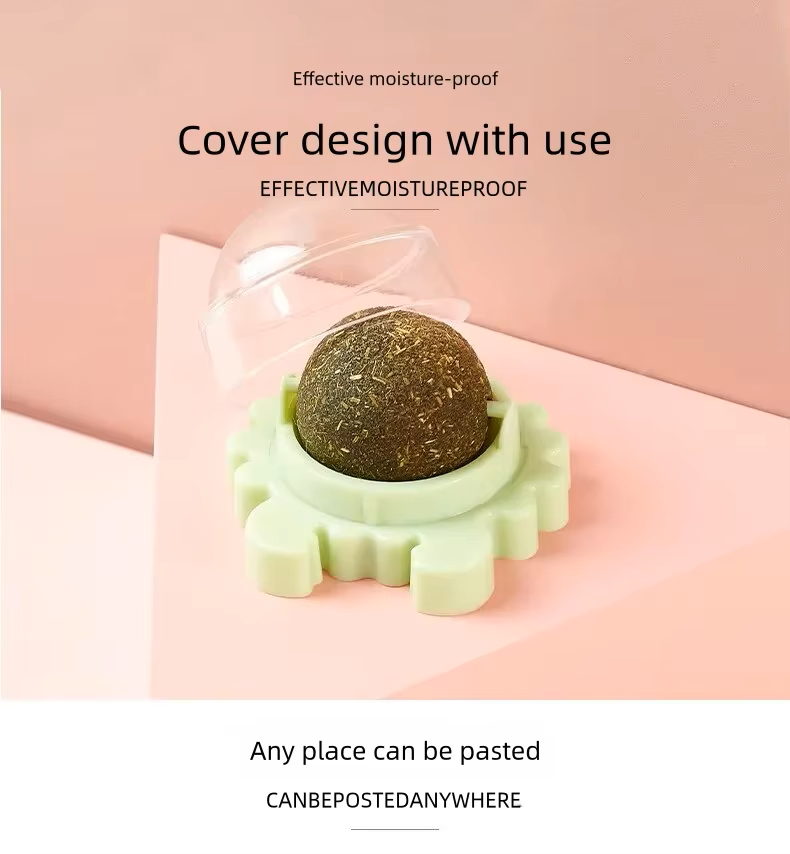 CATNIP HIERBA GATUNA NATURAL 🐾 La forma más divertida y natural de consentir a tu gato 😻 ¡PAGA 1 LLEVA 2! 👇