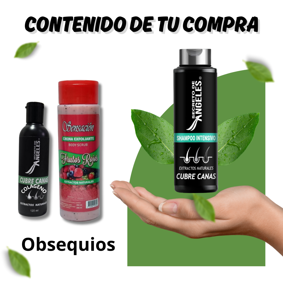 🌿 SECRETO DE ANGELES™ – El Shampoo Inteligente que Cubre Canas y Cuida Tu Cabello + Obsequios🎁😍