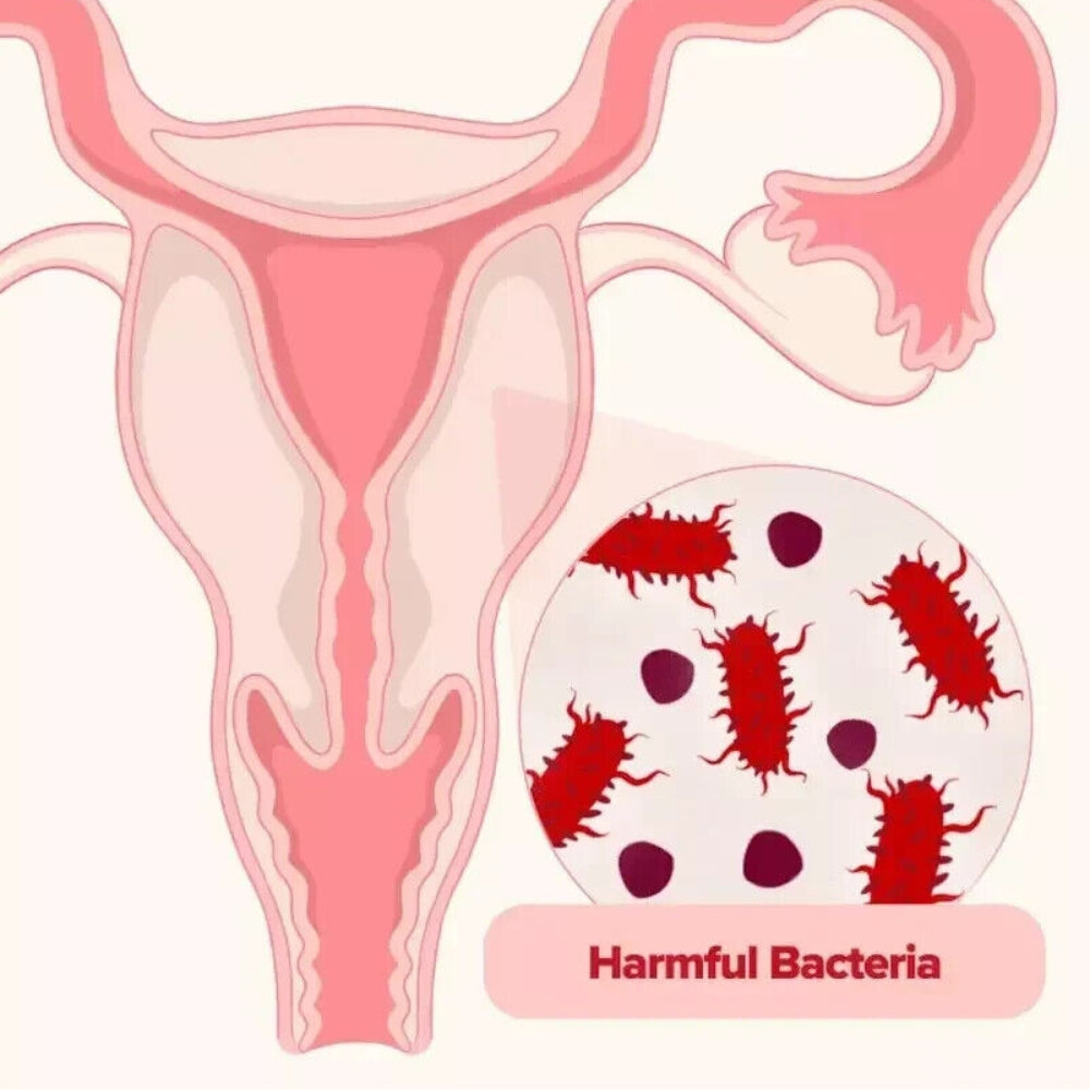¡Salud íntima y bienestar desde adentro! 🌸 – Probióticos URO de 60 cápsulas - TRATAMIENTO X30 DÍAS👇