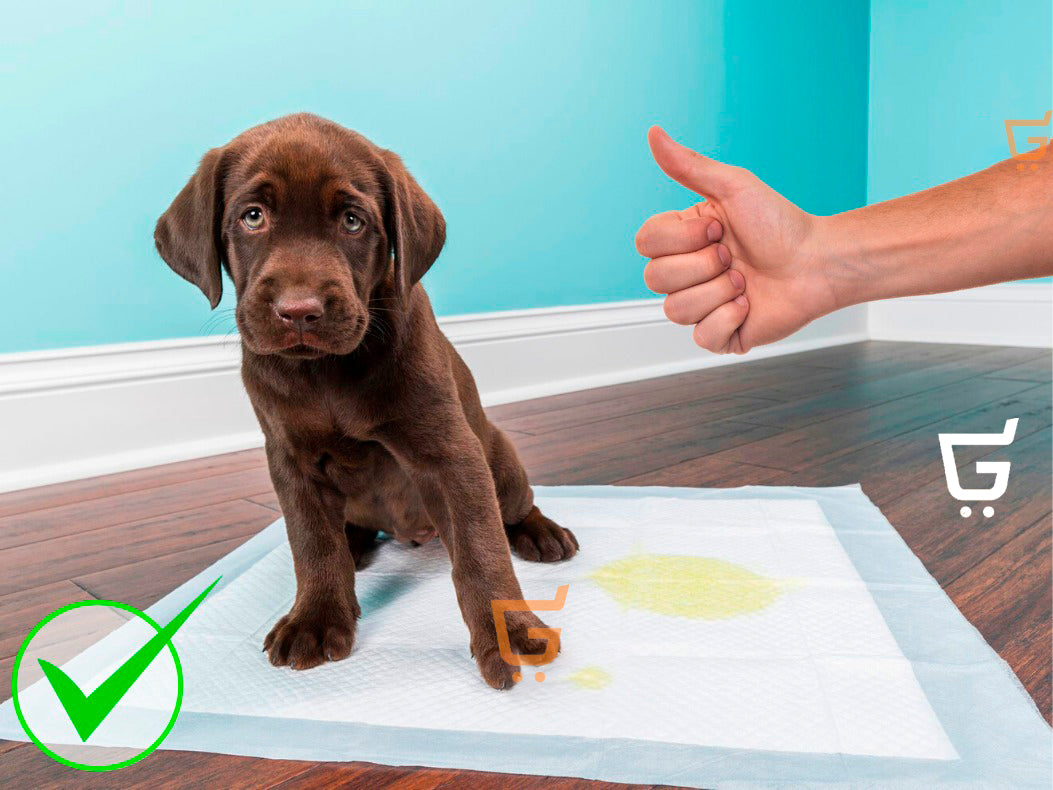 Tapete reutilizables Para Cachorro Inoloro Grande