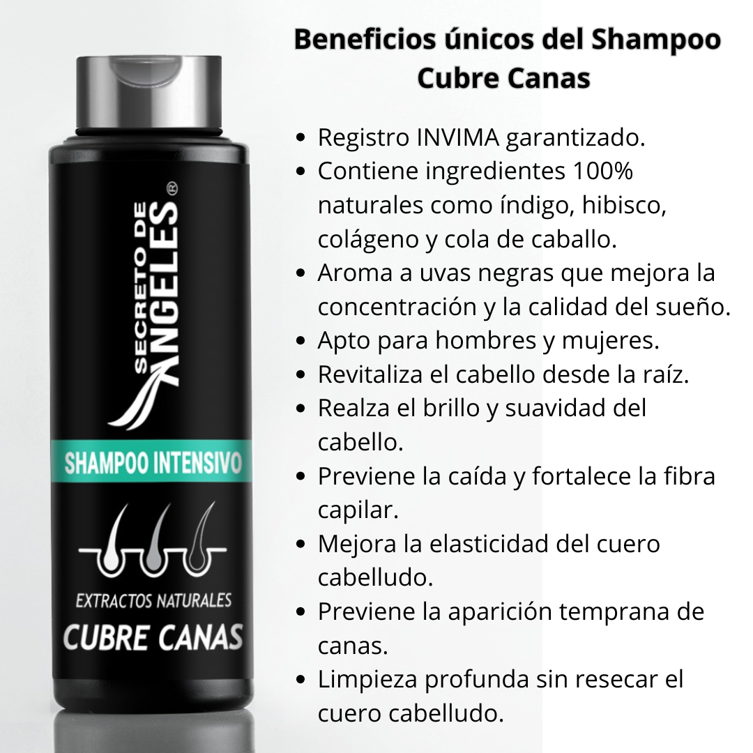 🌿 SECRETO DE ANGELES™ – El Shampoo Inteligente que Cubre Canas y Cuida Tu Cabello + Obsequios🎁😍