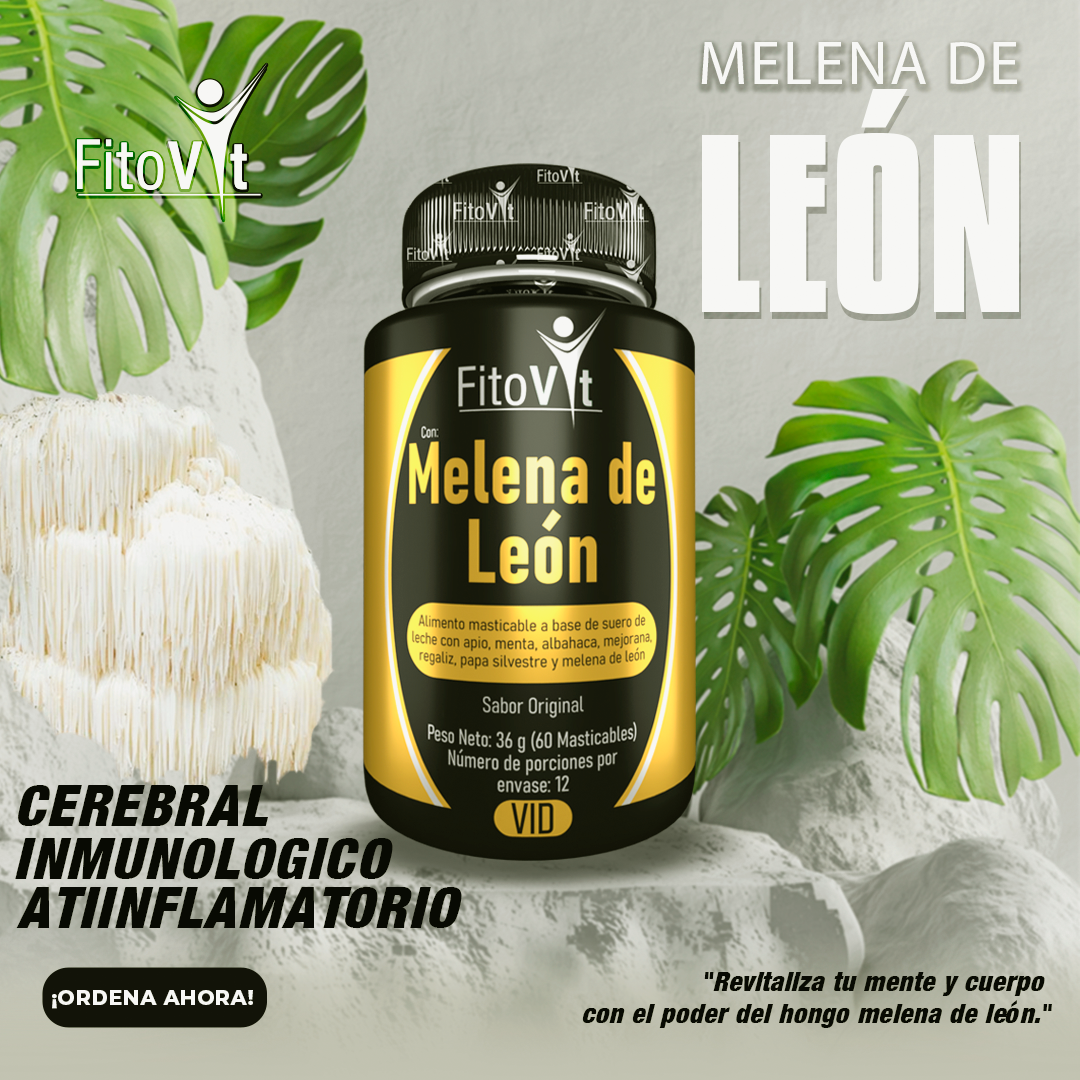 🍄 Fitovit – Melena de León 60 cápsulas
