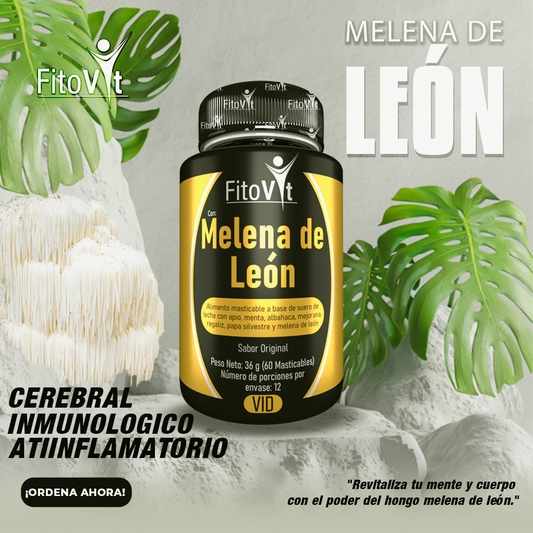 🍄 Fitovit – Melena de León 60 cápsulas