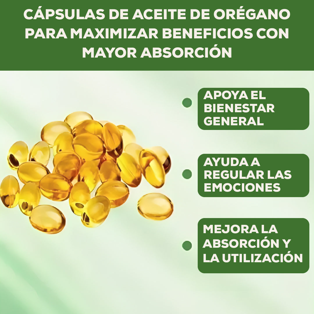 🌿 Oil of Oregano – El Secreto Natural Que Tu Cuerpo Estaba Esperando⚕️