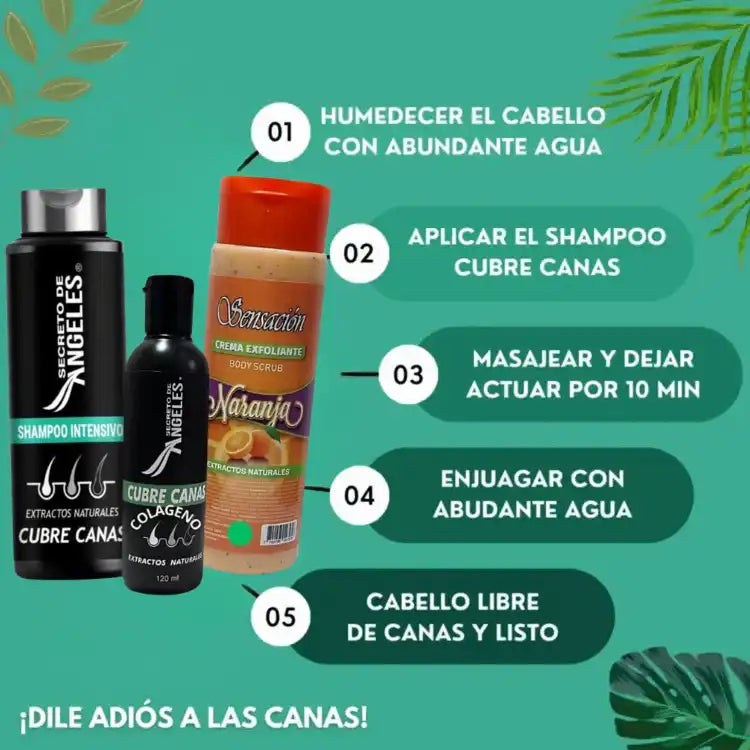 🌿 SECRETO DE ANGELES™ – El Shampoo Inteligente que Cubre Canas y Cuida Tu Cabello + Obsequios🎁😍