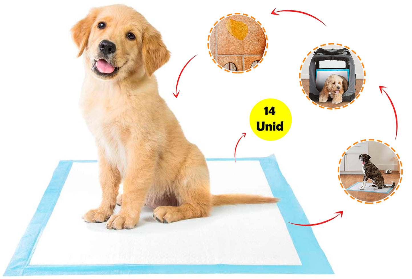 Tapete reutilizables Para Cachorro Inoloro Grande