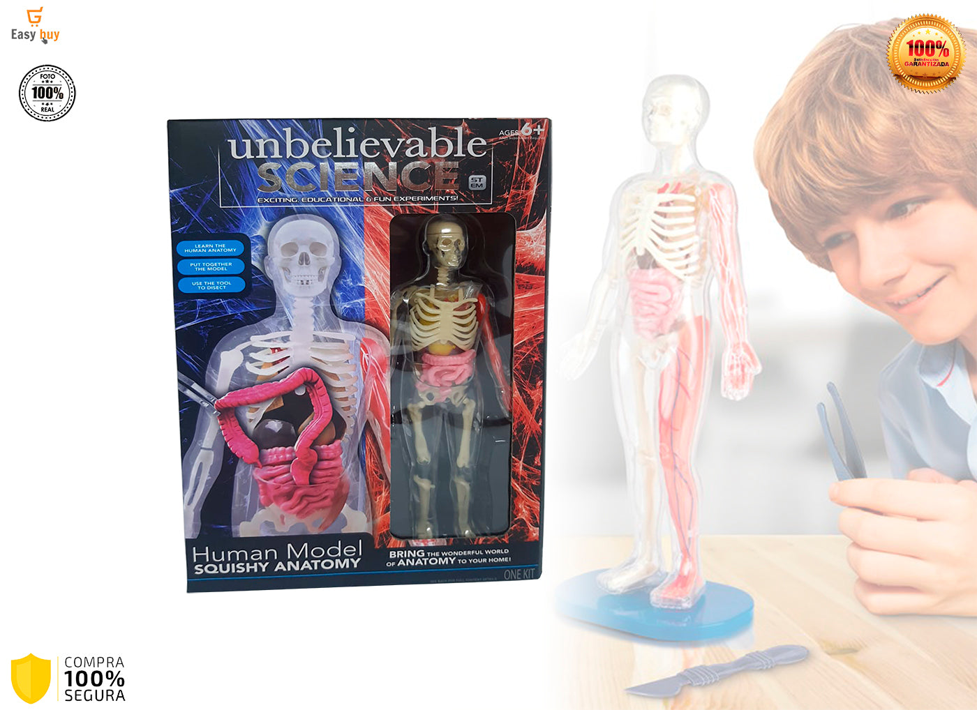 💀 Juego Educativo Didactico El Cuerpo Humano Y Sus Organos🫀 