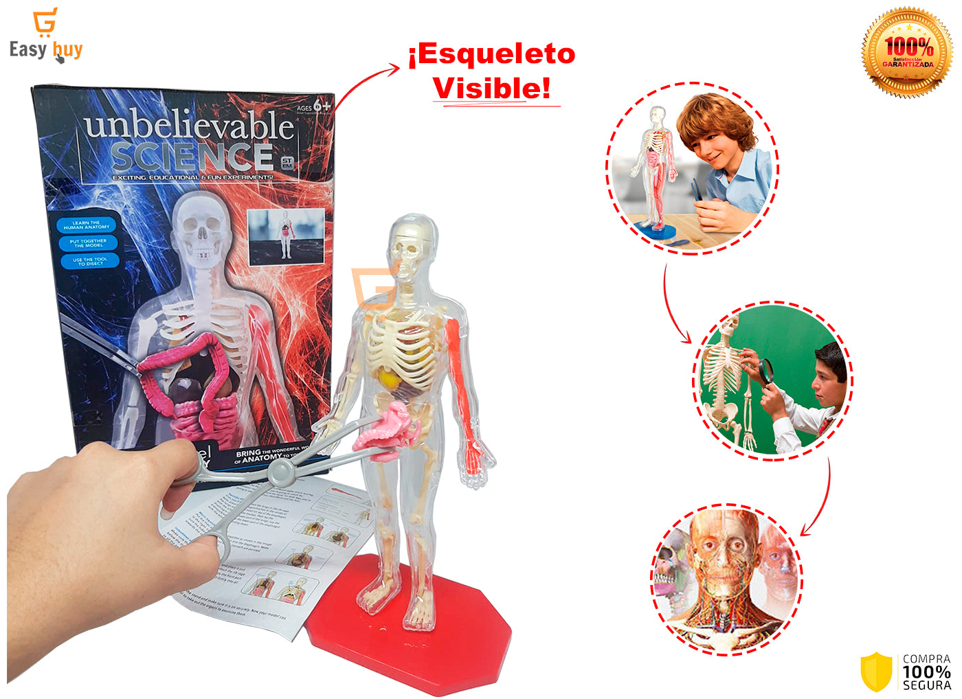 💀 Juego Educativo Didactico El Cuerpo Humano Y Sus Organos🫀 