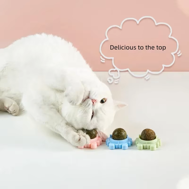 CATNIP HIERBA GATUNA NATURAL 🐾 La forma más divertida y natural de consentir a tu gato 😻 ¡PAGA 1 LLEVA 2! 👇