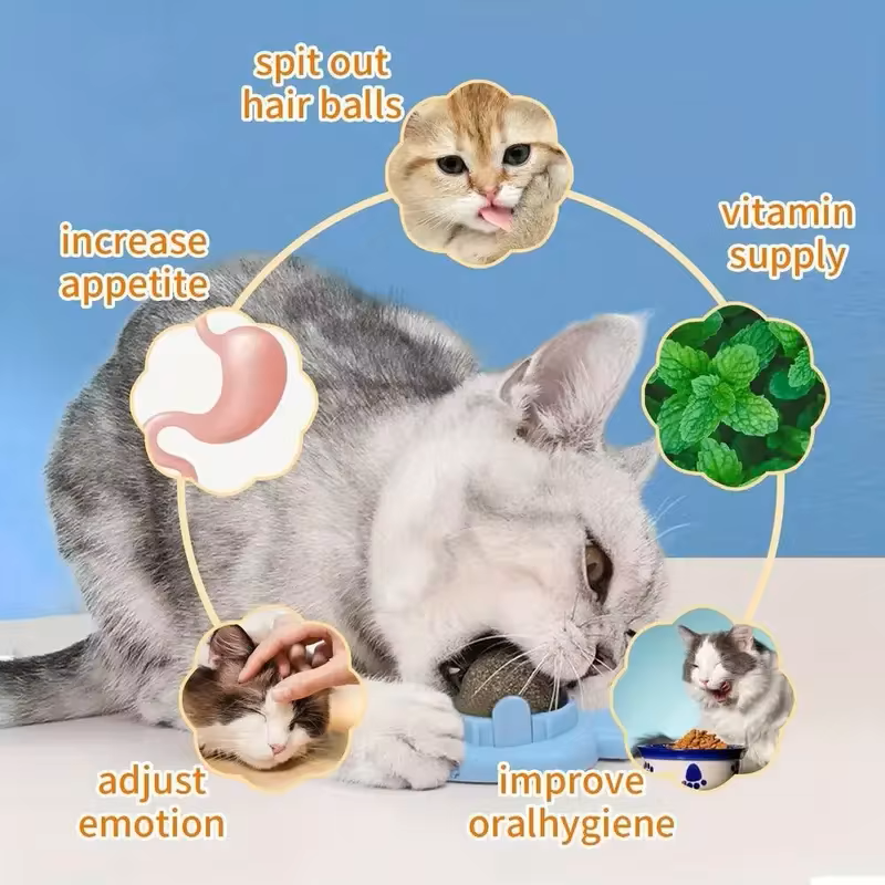 CATNIP HIERBA GATUNA NATURAL 🐾 La forma más divertida y natural de consentir a tu gato 😻 ¡PAGA 1 LLEVA 2! 👇