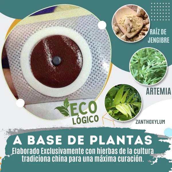 Transforma tu Cuerpo en 30 Días 💪✨ Con Slim Patch ¡OFERTA SOLO POR ESTE MES!👇