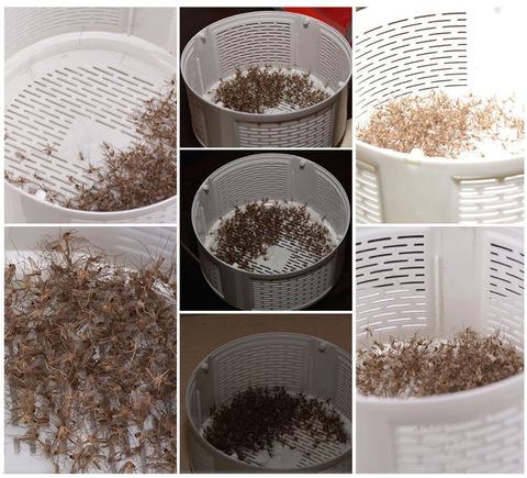 LÁMPARA ANTIMOSQUITOS: Sueño Tranquilo y Protección para Toda tu Familia 🌙🦟 Pruébala con tranquilidad por 10 Días. Devolución GRATIS